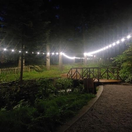 Villa Park - Beniart Studio - Nr 109 - Near Gondola Lift Borovets Bagian luar foto