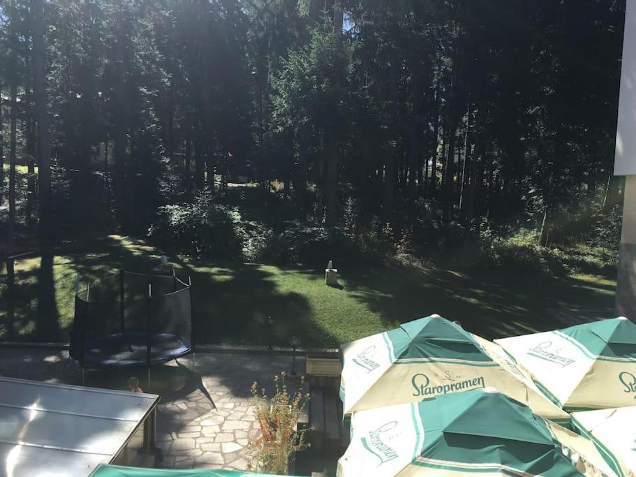 Villa Park - Beniart Studio - Nr 109 - Near Gondola Lift Borovets Bagian luar foto