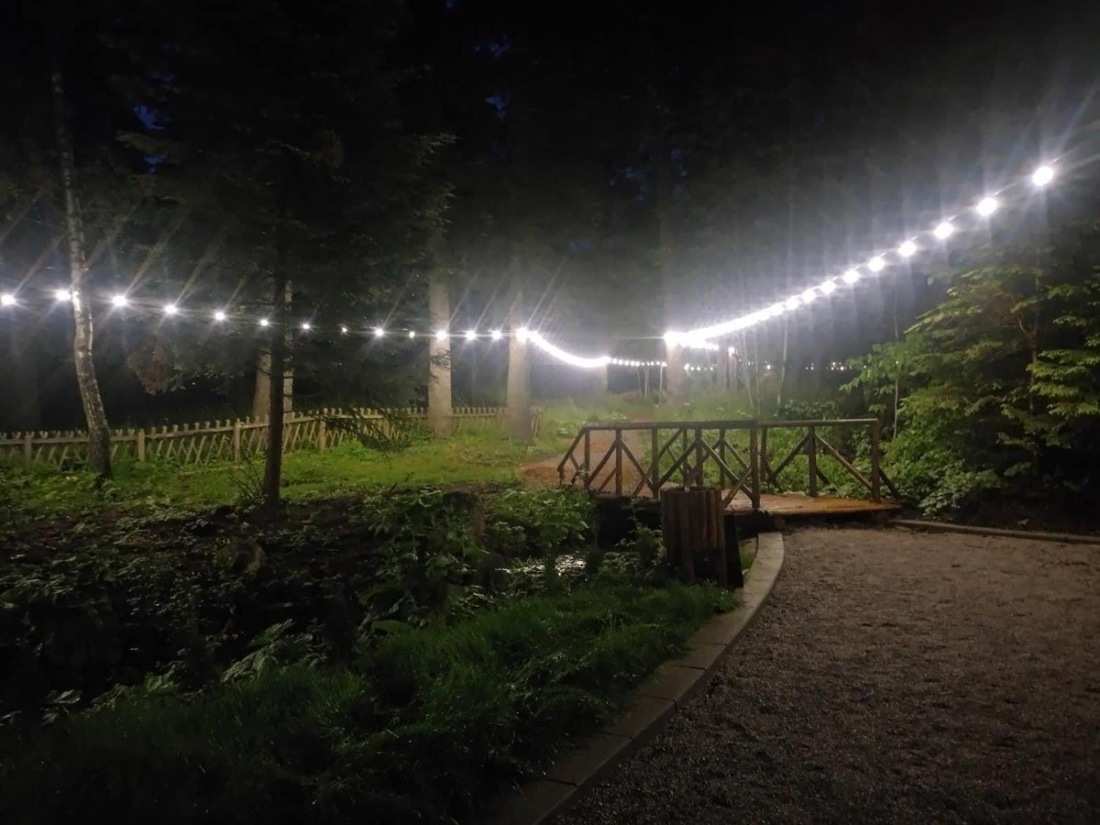 Villa Park - Beniart Studio - Nr 109 - Near Gondola Lift Borovets Bagian luar foto