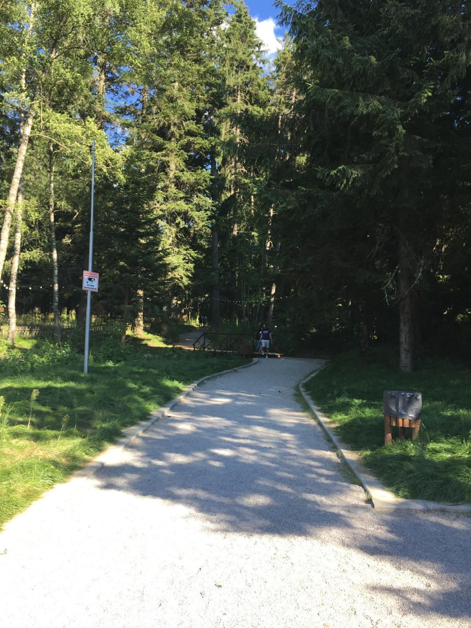 Villa Park - Beniart Studio - Nr 109 - Near Gondola Lift Borovets Bagian luar foto